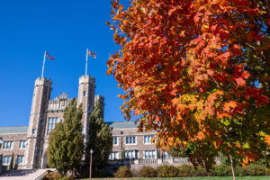 fall leaves in front of Brookings Hall