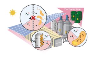 electric biodiesel diagram