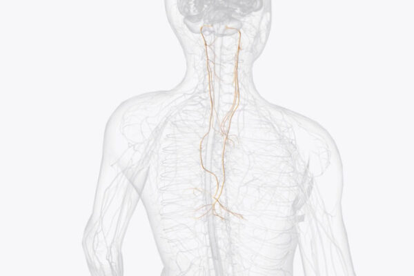 Vagus nerve stimulation relieves severe depression