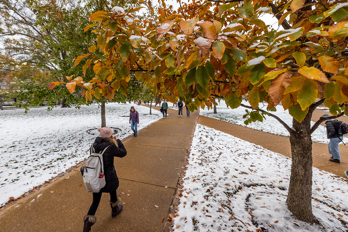 People walking on sidewalk along snowy trail