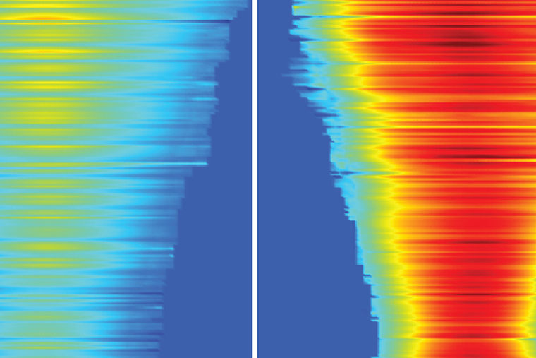 an infrared image, heat map force used in cell migration