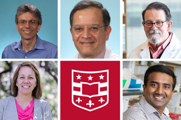 Five named National Academy of Inventors senior members