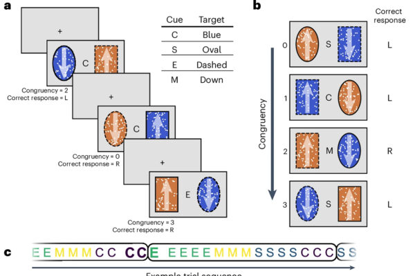 New model from WashU scientists can improve understanding of human attention