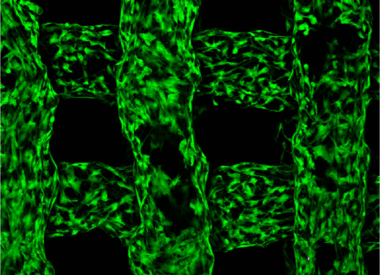 バイオエレクトロニクスの成功のためには、自然からヒントを得たデザインで作ること(For success in bioelectronics, build with nature-inspired design)