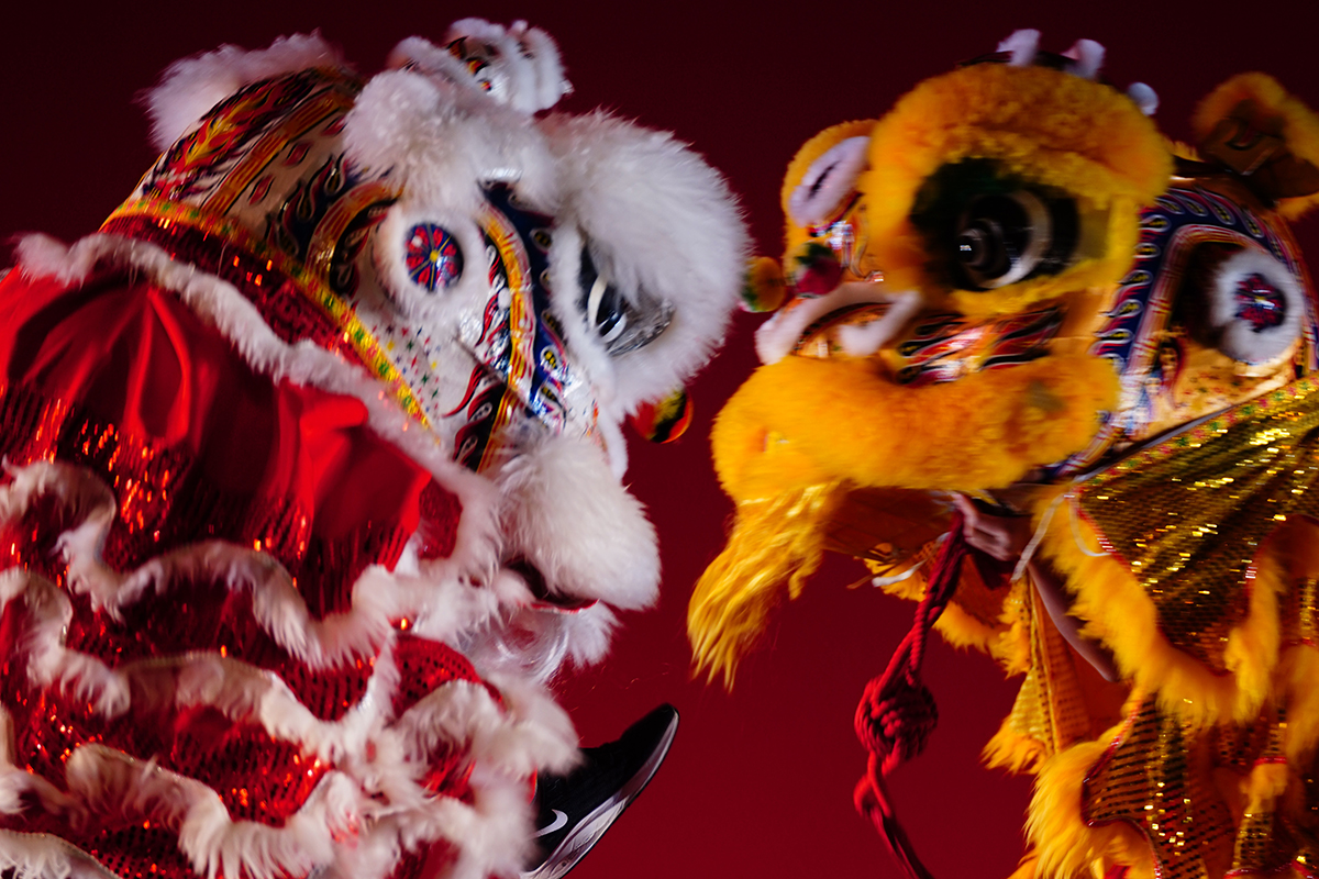 WashU Lunar New Year Festival celebrates heritage, impact