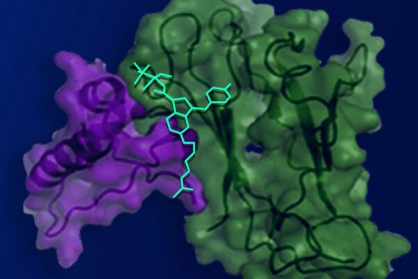 Compound harnesses cannabis’s pain-relieving properties without side effects