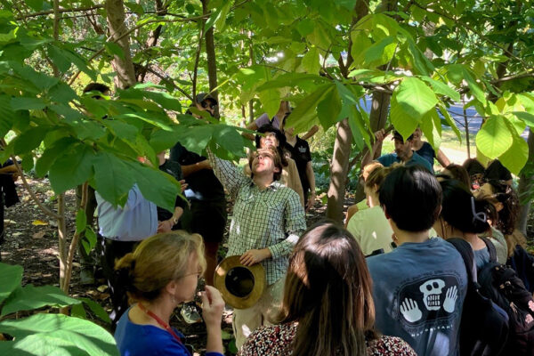 WashU Arboretum holds free tours and events