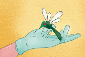 (Illustration: Monica Duwel/WashU)