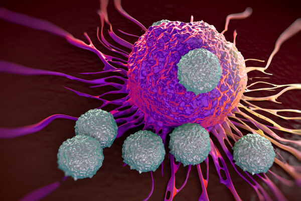 Immunotherapy improves survival of patients with locally advanced head and neck cancer