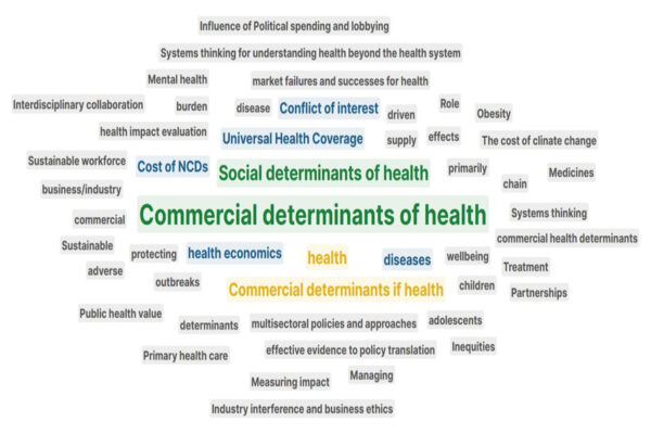 Deans lead international panel on business-public health connections