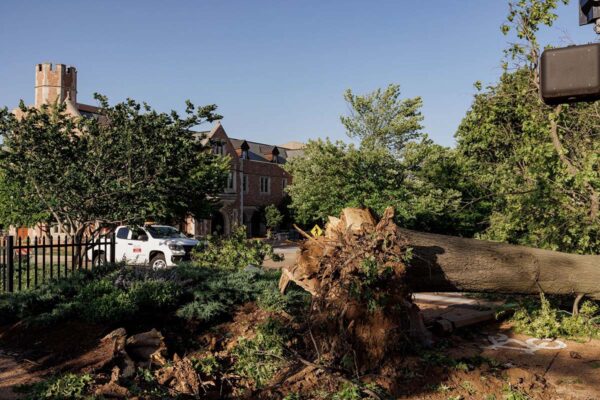WashU community joins neighbors in tornado recovery
