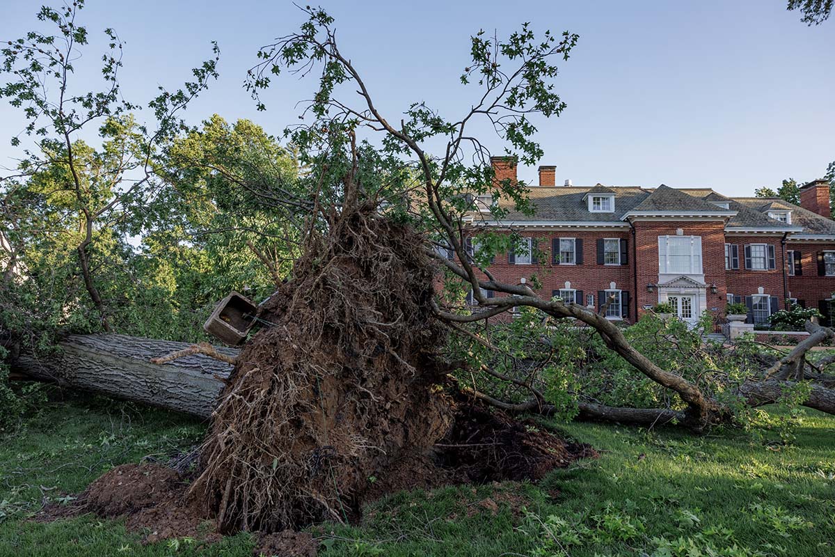 WashU Expert: Managing mental health after recent storms