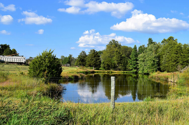 a farm pond