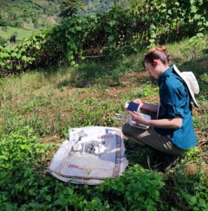 Leslie Annette Paige, a graduate student studying biological anthropology in Arts & Sciences, uses remote sensing technologies to visualize the habitats of endangered species in Java, Indonesia. (Photo: Esther Adinda)
