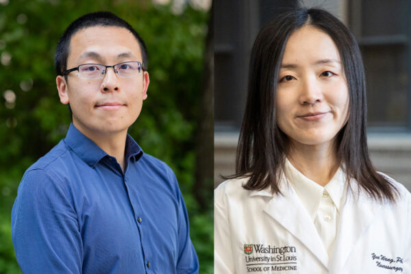 Researchers identify brain cells key to facial recognition