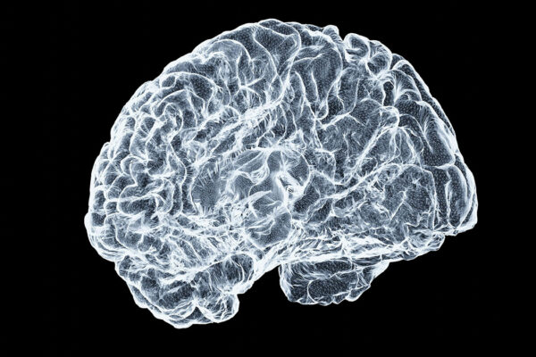A unified theory of the mind