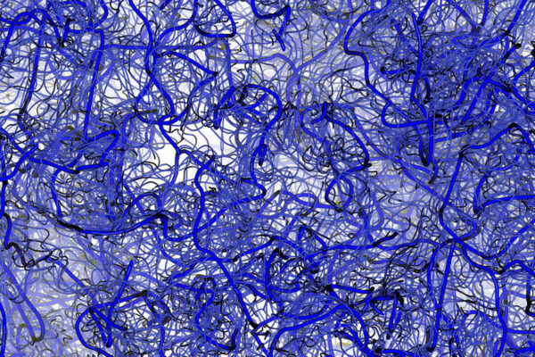 New computational tool sheds light on ‘wiggly’ proteins