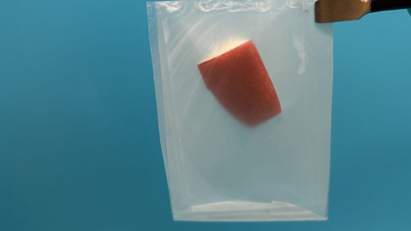 a transparent plastic bag with an apple slice