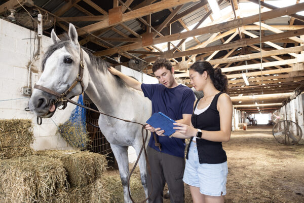 Career Catalysts: WashU stipends fund internships, fuel professional growth