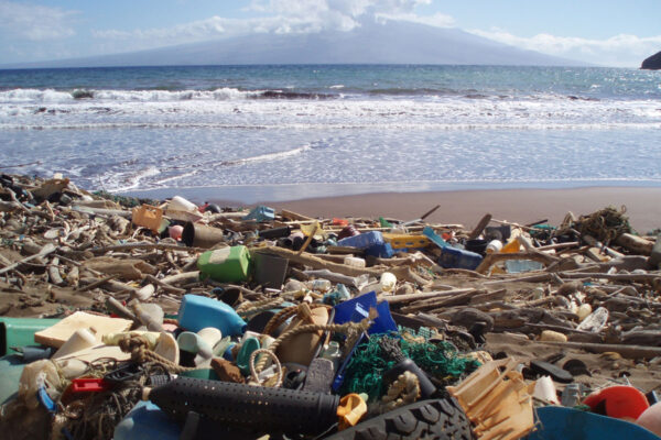 AI to spark new recyclable plastics design