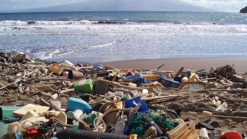 a beach littered with plastic goods