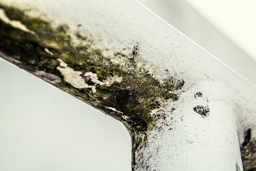 moldy pipes