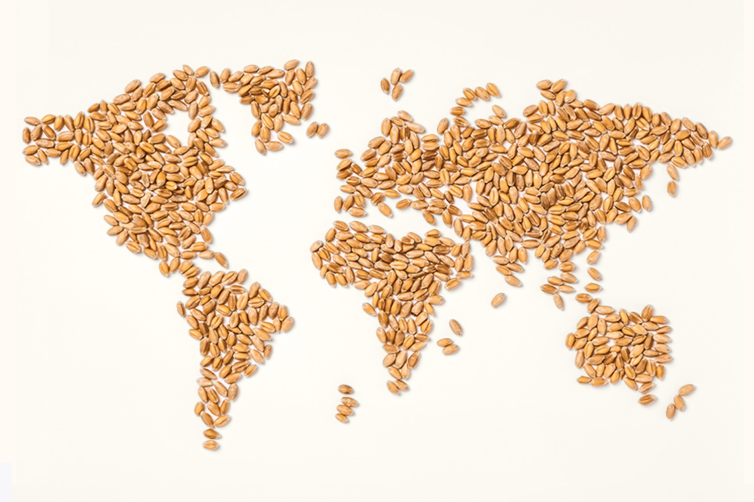Public Health to host Food Futures Forum Oct. 9