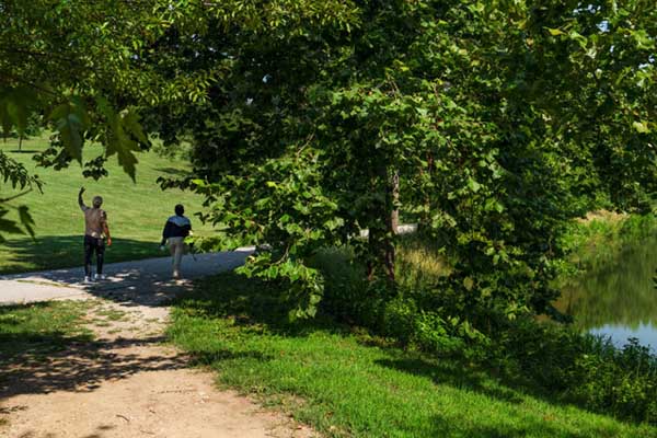 How can we make St. Louis a healthier, better place to live?