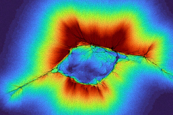 Working together, cells extend their senses