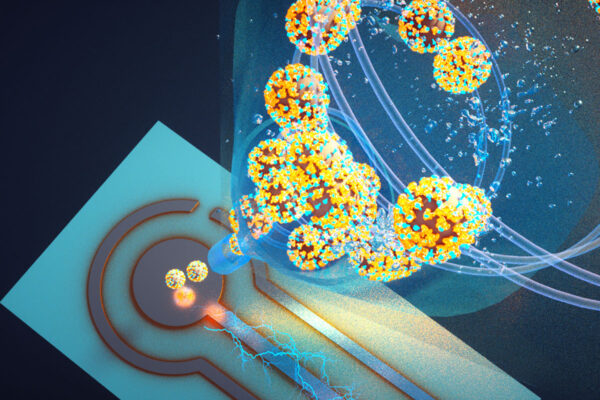 Disrupting infectious diseases