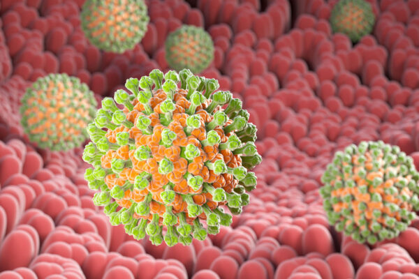 Researchers find key to stopping deadly infection