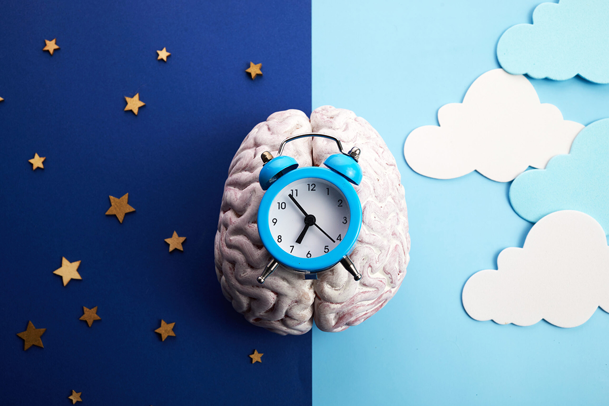  Alzheimer’s disrupts circadian rhythm of brain cells