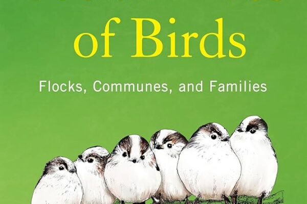 The Social Lives of Birds