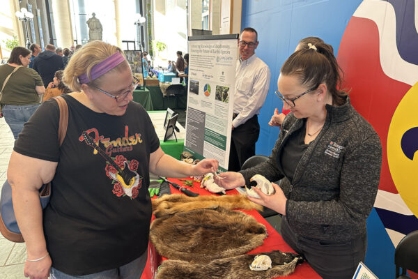 WashU-sponsored Thursday Nights at the Museum celebrate St. Louis