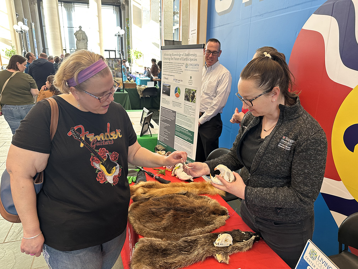 Every week, the Missouri History Museum hosts free and family-friendly Thursday Nights at the Museum. Sponsored by WashU, the series explores the full array of life and culture in St. Louis through storytelling, panel discussions, film and performances. This week’s event will screen a segment of “The American Revolution” documentary.