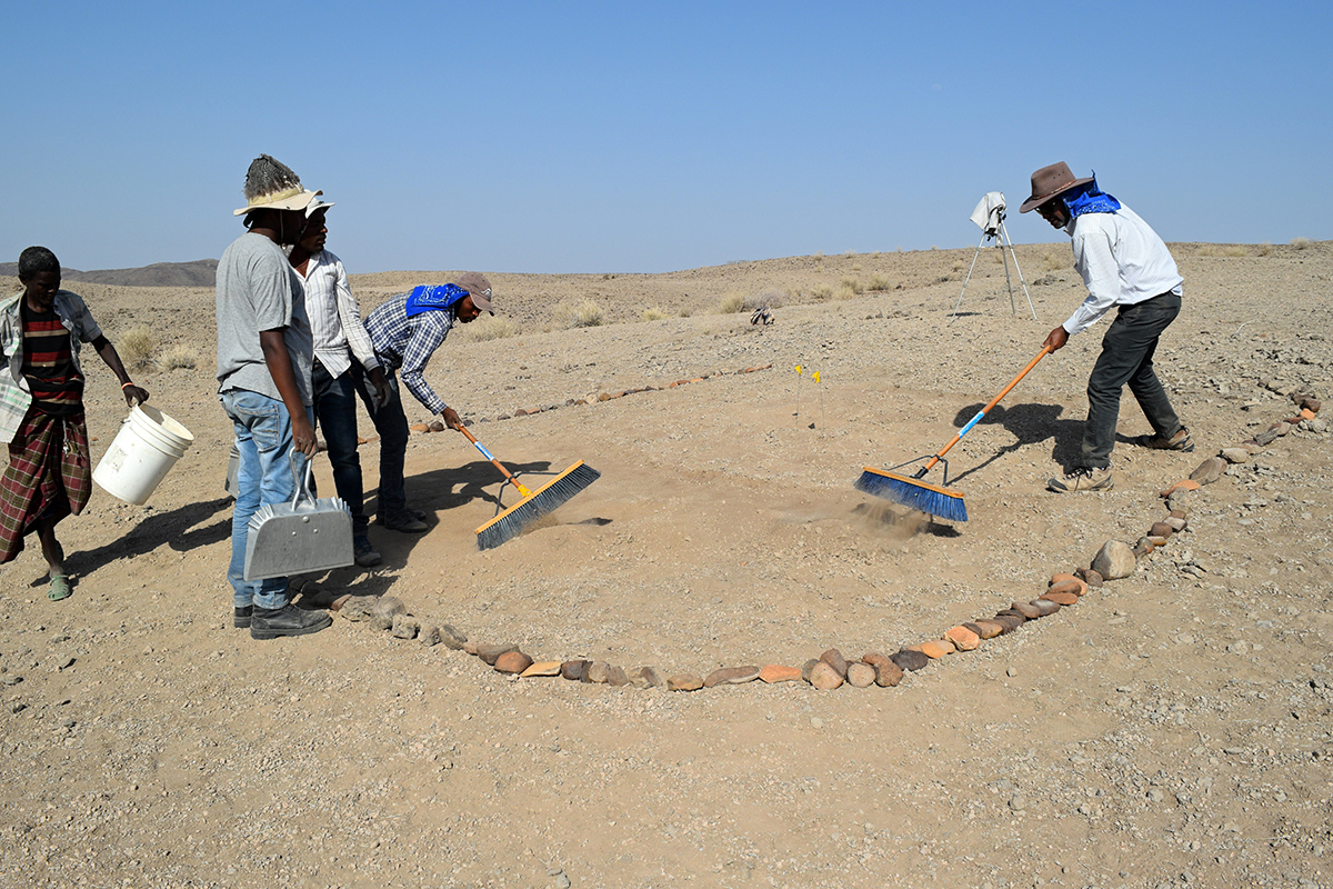Ancestor in the trees: A closer look at a not-so-distant relative