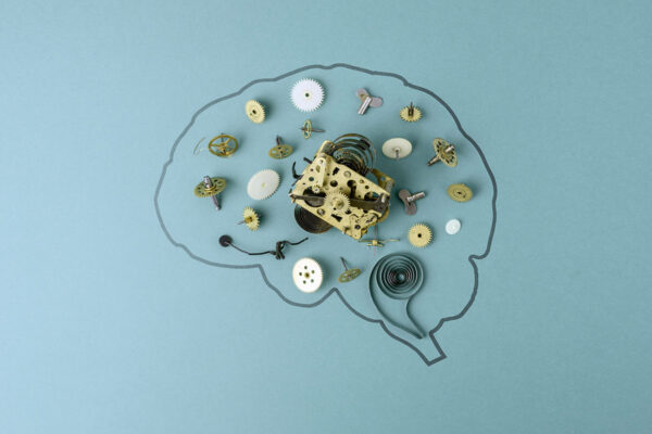 Mapping the dance of circadian synchrony