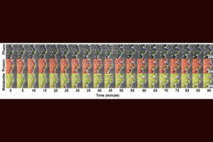 bacteria growth chart over a period of hours
