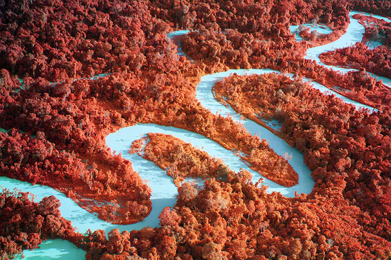 Sam Fox School spring lecture series begins Jan. 30