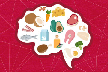 Study explains how ketogenic diets prevent seizures