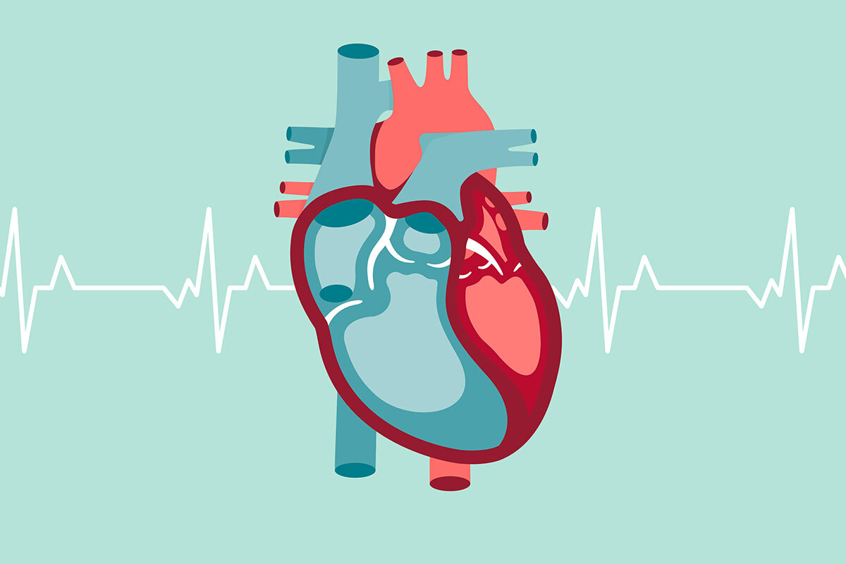 $6.4M supports studies of cardiac muscle function in heart failure