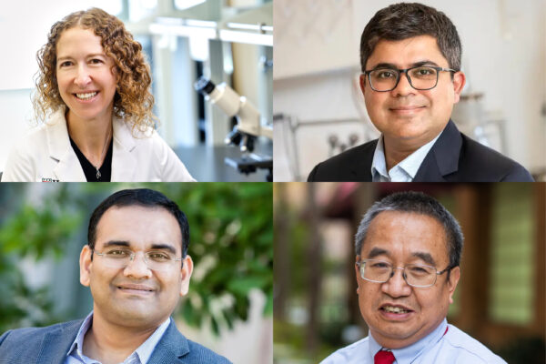 Four named senior members of National Academy of Inventors