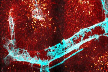 New compound stops common complications after surgery