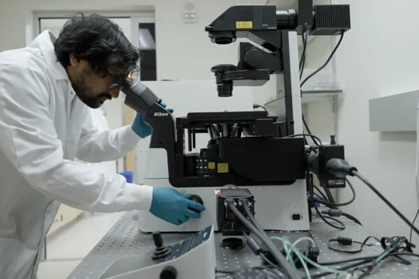 WashU researchers use quantum biosensors to peer into cells’ inner workings