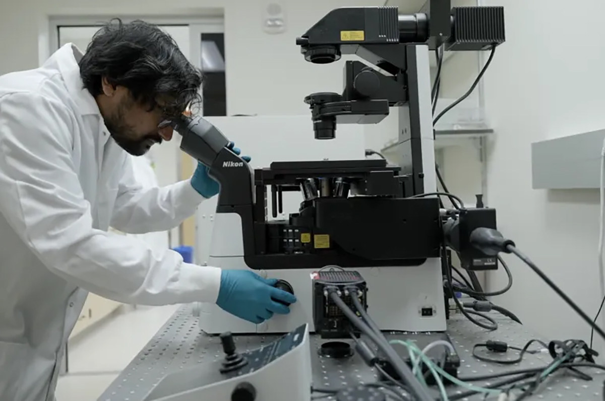WashU researchers use quantum biosensors to peer into cells' inner workings
