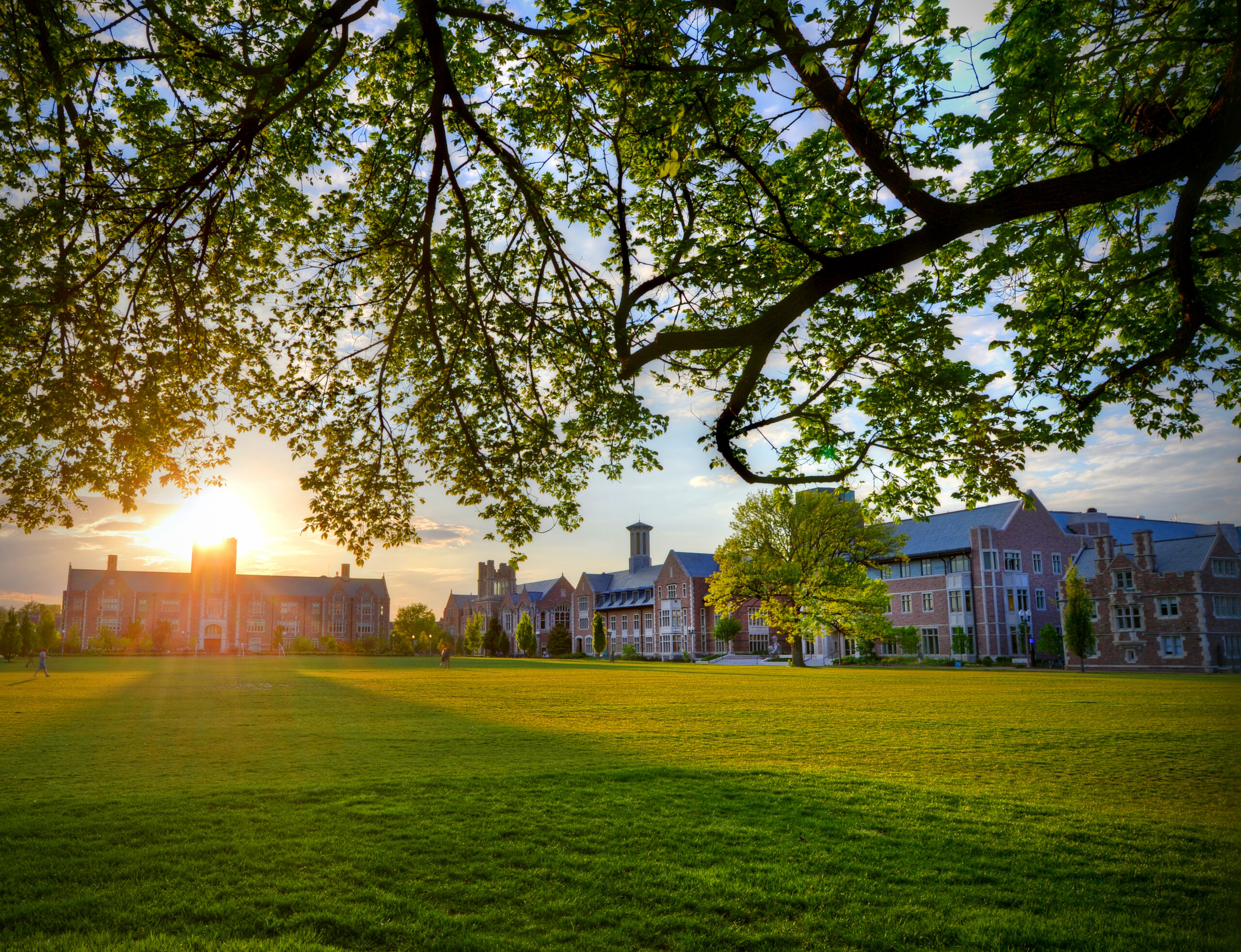 WashU Olin Business launches dual AI initiatives to prepare workers, companies