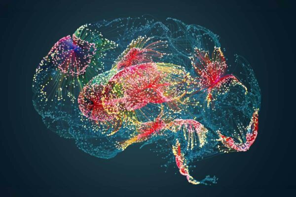 WashU Medicine researchers to build AI tools to boost Alzheimer’s research 