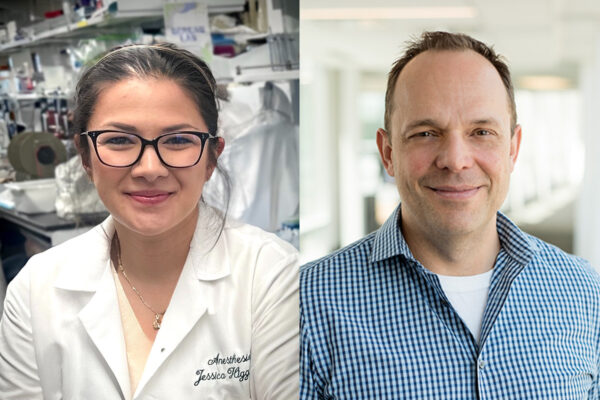 Environmental enrichment reduces fentanyl relapse in&nbsp;rats