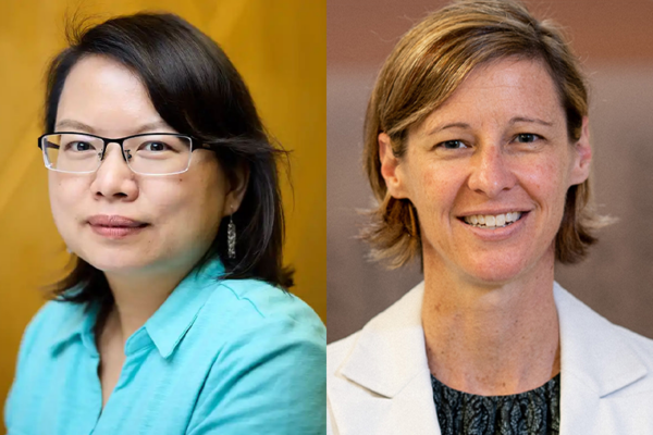 Chen, Heemstra selected as AIMBE fellows
