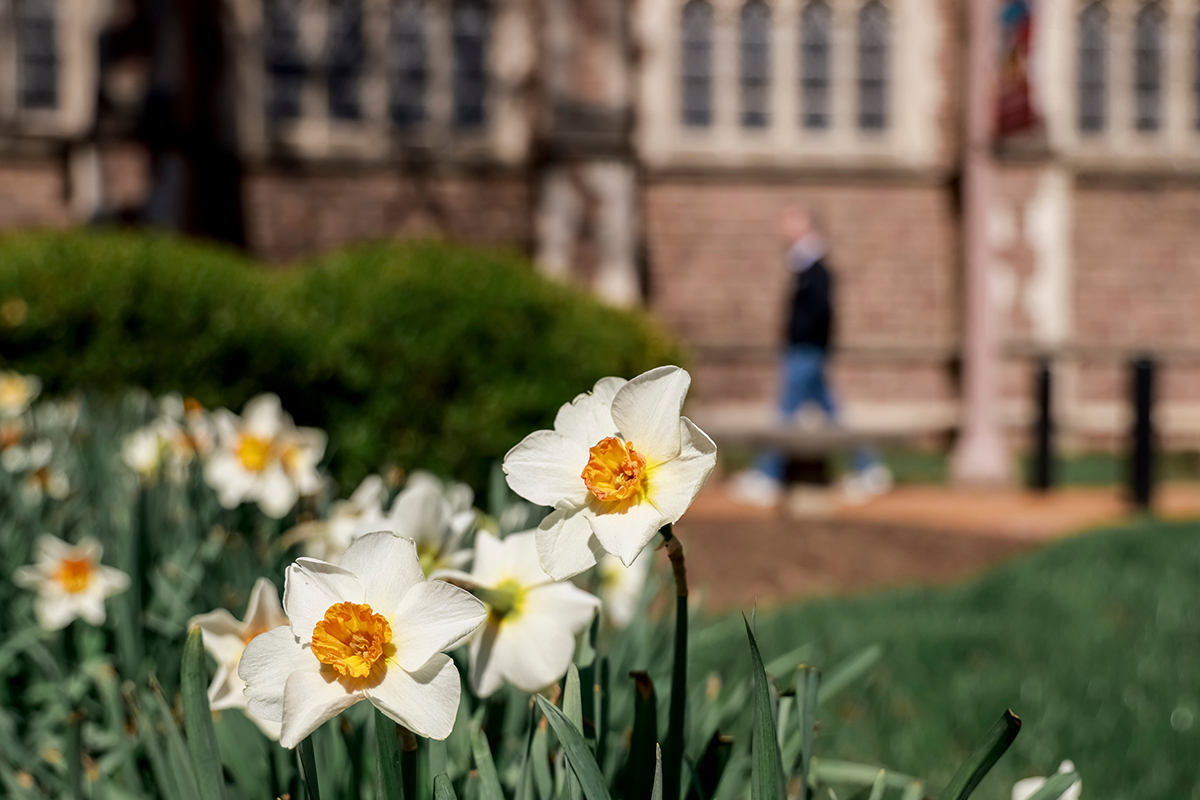 spring flowers on campus